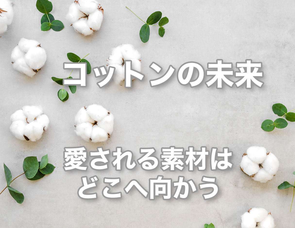コットンの未来 – 進化する素材の今 –