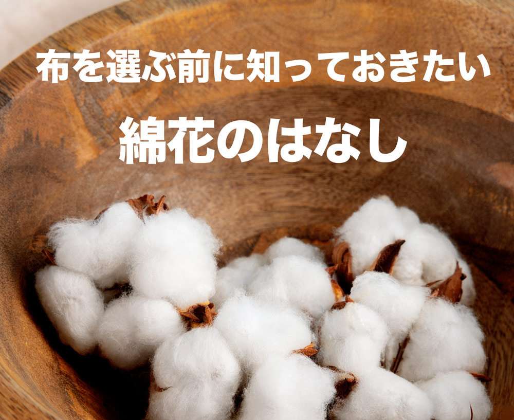 綿花のはなし – 4種類のコットンとその特徴