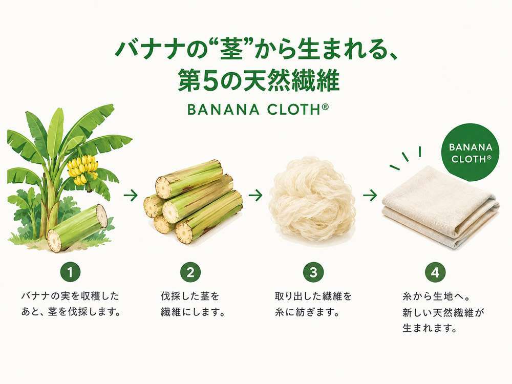 バナナの茎から生まれる生地 BANANA CLOTH